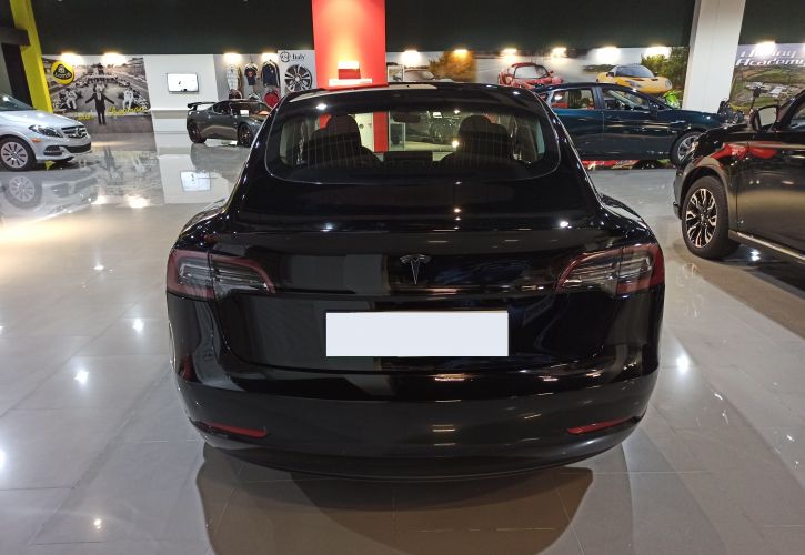 Tesla Model 3 Standart Plus