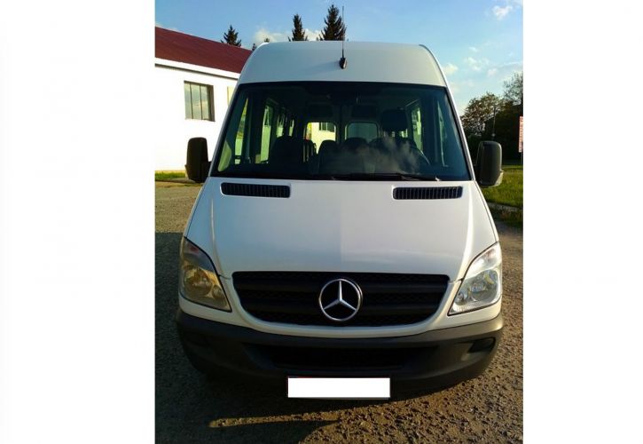 Mercedes Sprinter313